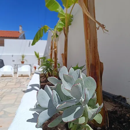 Supertubos House Peniche Bed & Breakfast