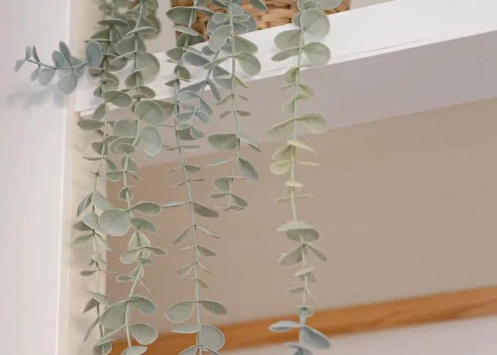 Supertubos House Peniche Bed and Breakfast